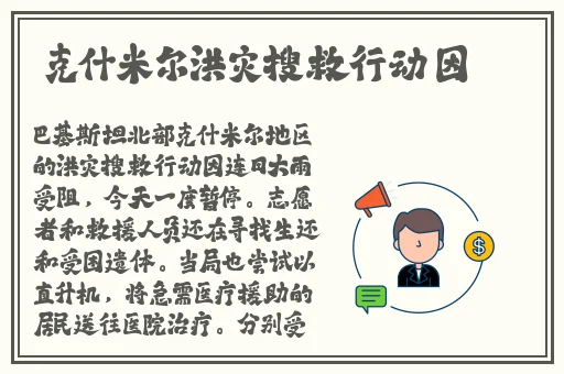 9612黄桃亚洲品质